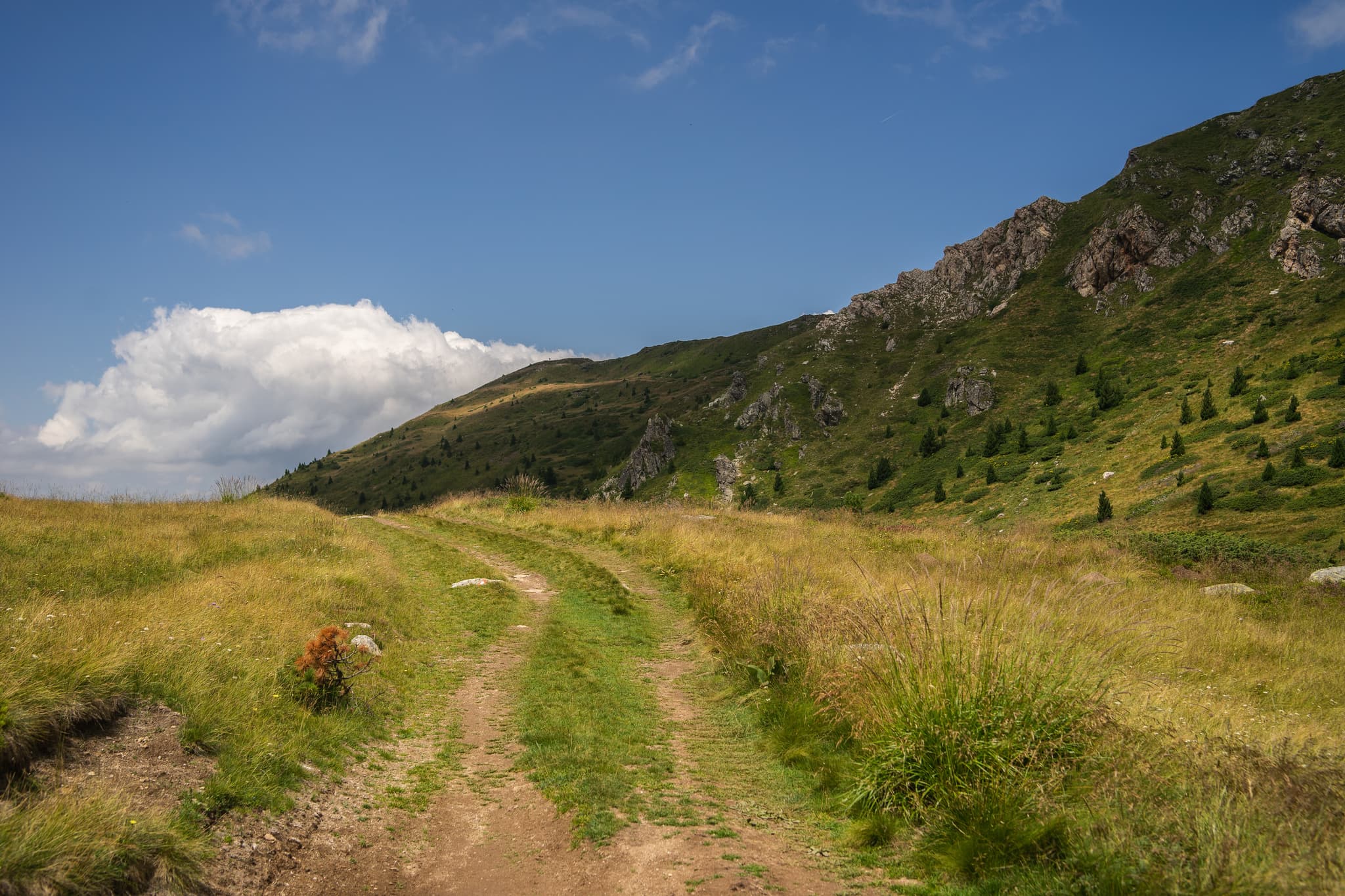 St Racks Stracks - GPS Offroad | Quad, 4x4, SSV, Enduro & Trail